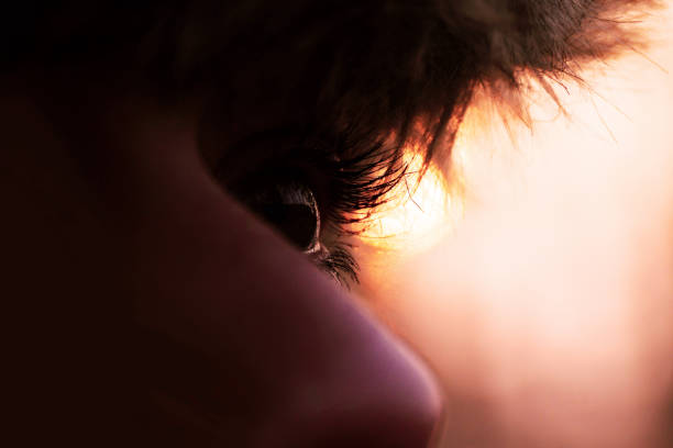 istock Female Eye and Nose Close Up 961215602