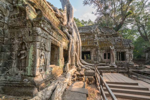 ta prohm angkor wat, camboja o antigo templo de ta prohm em angkor wat, camboja, onde as raízes das árvores da floresta se entrelaçam com a alvenaria dessas estruturas antigas produzindo mundo surreal. - angkor ancient architecture asia - fotografias e filmes do acervo