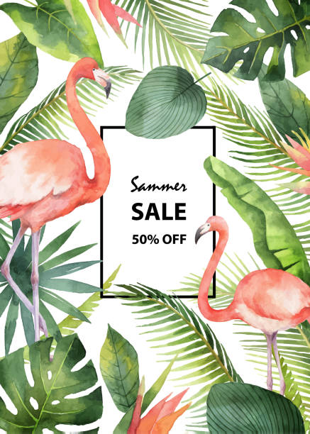 Watercolor vector summer sale banner of tropical leaves and the pink Flamingo isolated on white background. Watercolor vector summer sale banner of tropical leaves and the pink Flamingo isolated on white background. Illustration for design wedding invitations, greeting cards, decor. flamingo stock illustrations
