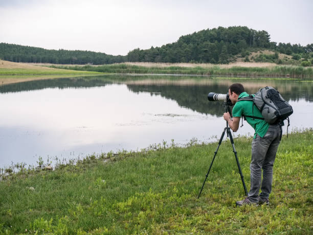 istock Wildlife photographer in the nature 961230986