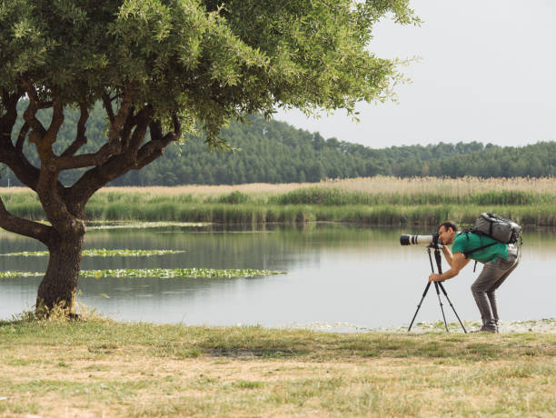 istock Wildlife photographer in the nature 961231004