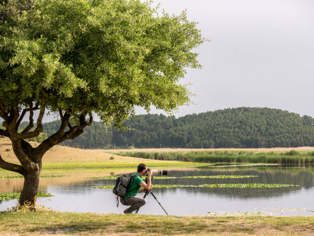 istock Wildlife photographer in the nature 961231012