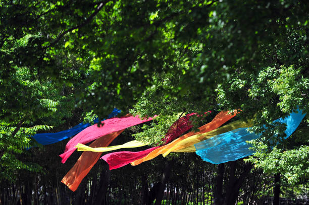 istock Colorful fabrics flying in the forest 961239684