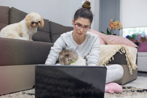 istock Young woman with cute dog 961255044