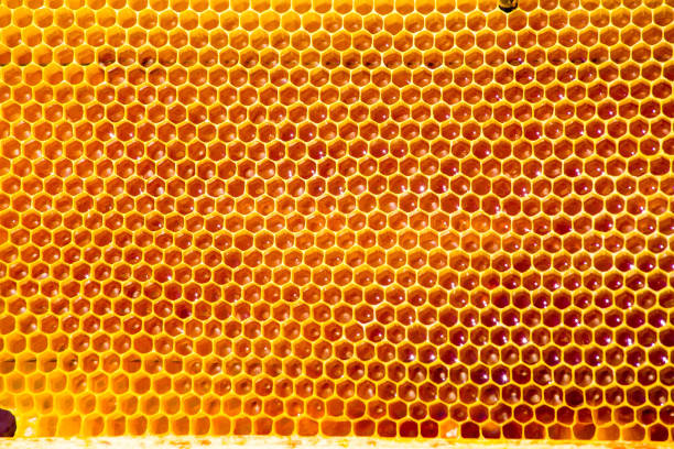 miel inachevé rendre dans les roches - honey abstract photography composition photos et images de collection