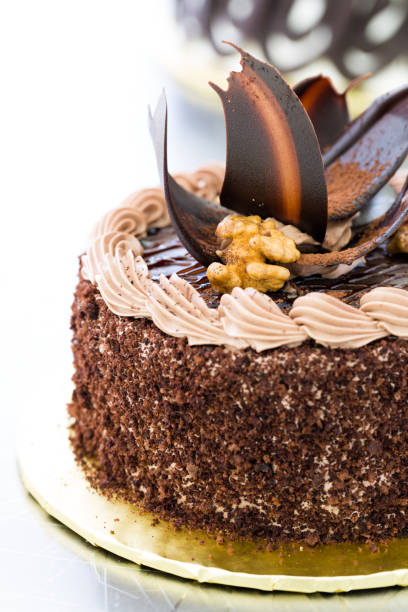 chocolate brown cake with biscuit crumbs, chocolate leaves and walnuts - biscuit brown cake unhealthy eating imagens e fotografias de stock