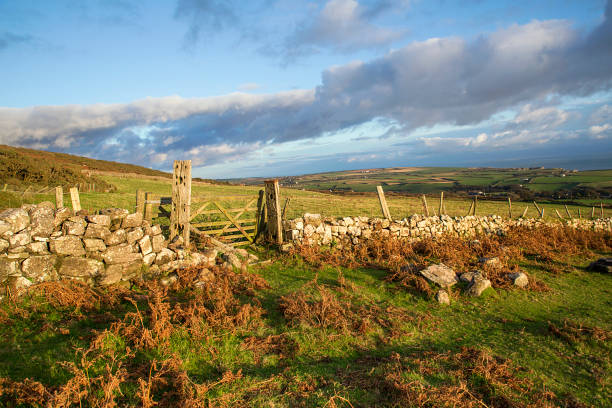 istock Rural farmland in Wales 961260006