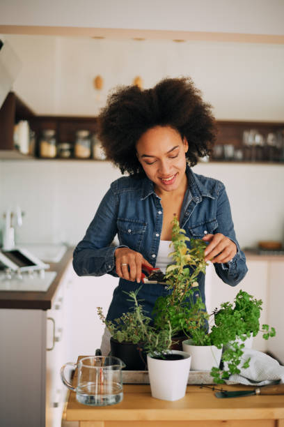 istock Beautiful mixed race woman gardening. 961267344