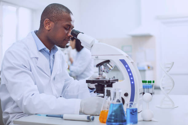 istock Professional afro-american biologist working in the lab 961271754