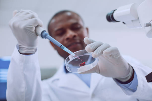 heureux chercheur afro-américaine, faire un test sanguin - genetic research men substances analyzing photos et images de collection