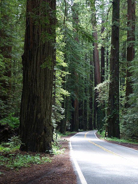 istock The Road Less Taken 96127892