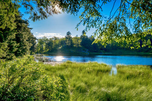 istock Gatineau park near Ottawa 961280080