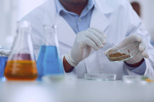 istock Clever afro-american biologist working with seeds 961283814