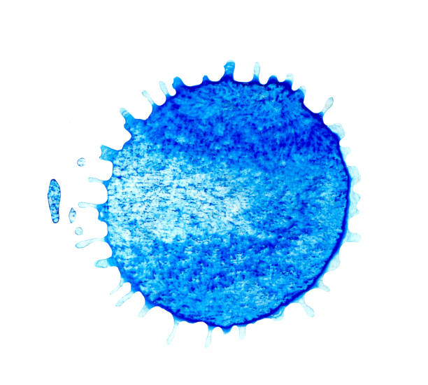 istock Abstract blue watercolor blob. Watercolor blue splash 961284360