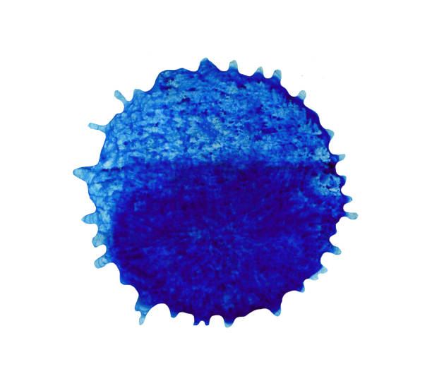 istock Abstract blue watercolor splash background. Blue  paint  spot. 961284408
