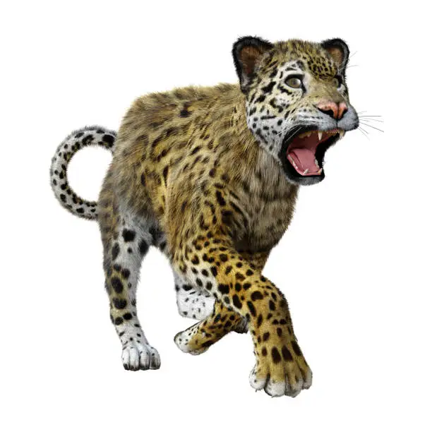 Photo of 3D illustration big cat jaguar on white