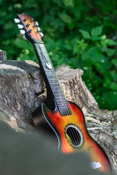 wooden acoustic guitar outdoors in the nature