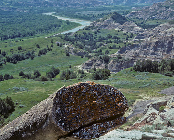 Petrified Log and the Little Missouri River Theodore Roosevelt National Park lies where the Great Plains meet the rugged Badlands near Medora, North Dakota, USA. The park's 3 units, linked by the Little Missouri River is a habitat for bison, elk and prairie dogs. The park's namesake, President Teddy Roosevelt once lived in the Maltese Cross Cabin which is now part of the park. This picture of a petrified log overlooking the Little Missouri River was taken from the Caprock Coulee Trail. jeff goulden badlands stock pictures, royalty-free photos & images