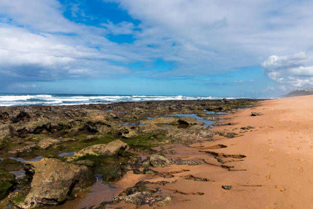 istock Rocky Beach Waves and Ocean Against Blue Cloudy Skyline 961296608