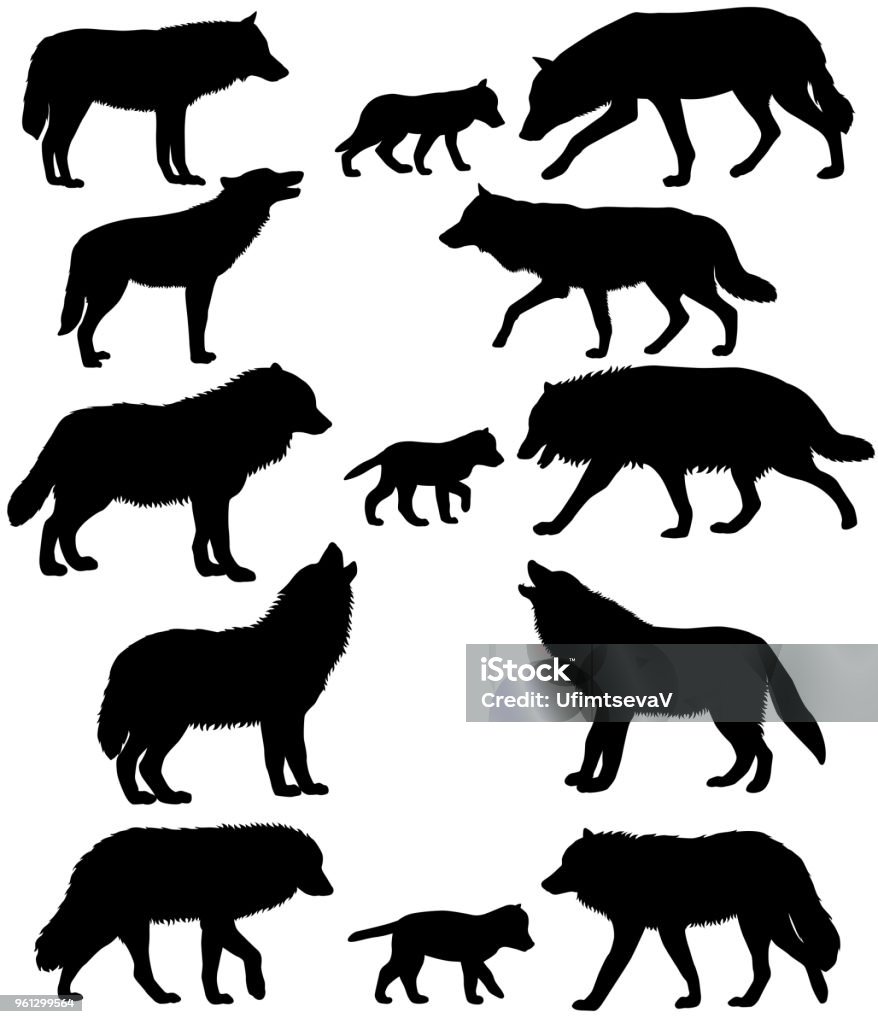 Silhouettes of wolves and wolf-cubs Collection of silhouettes of wolves and wolf-cubs Wolf stock vector