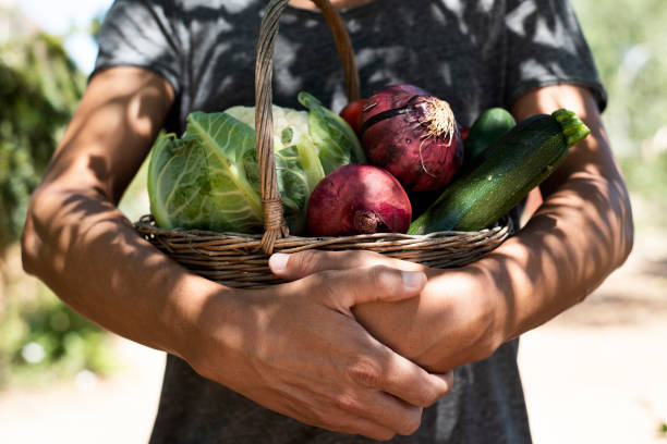 istock young man with a basket full of vegetables 961308290