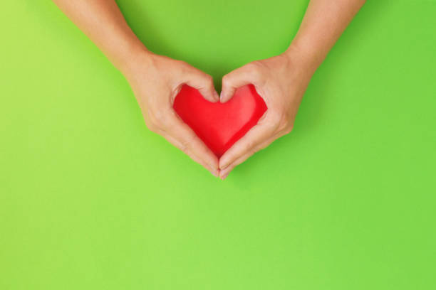istock Female hands in shape of heart. 961308890