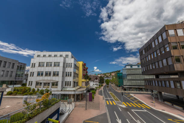 Street in Liechtenstein with Alps background.