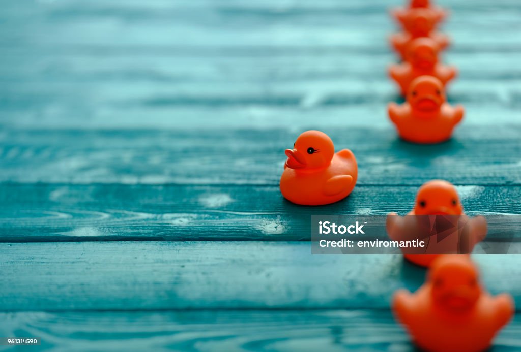 Linie orange Gummi Enten, bewegt sich in eine geordnete Linie mit einer Ente, die Zeile nach verlassen, ist es eigene Richtung, auf einem blauen Hintergrund der hölzernen gekörnt, konzeptionell aus Wasser. - Lizenzfrei Gegen den Strom Stock-Foto