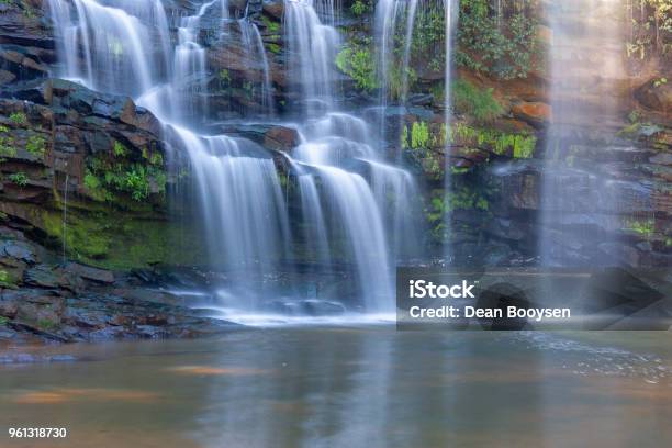 Paradise Valley Nature Reserve Durban Kwazulu Natal South Africa Stock Photo - Download Image Now