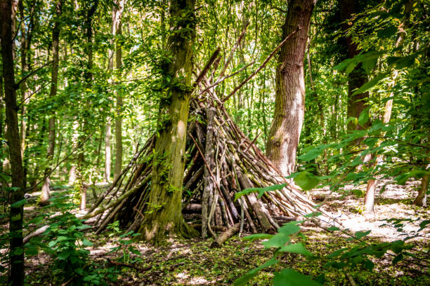 istock Woodland Stick House Building 961320126