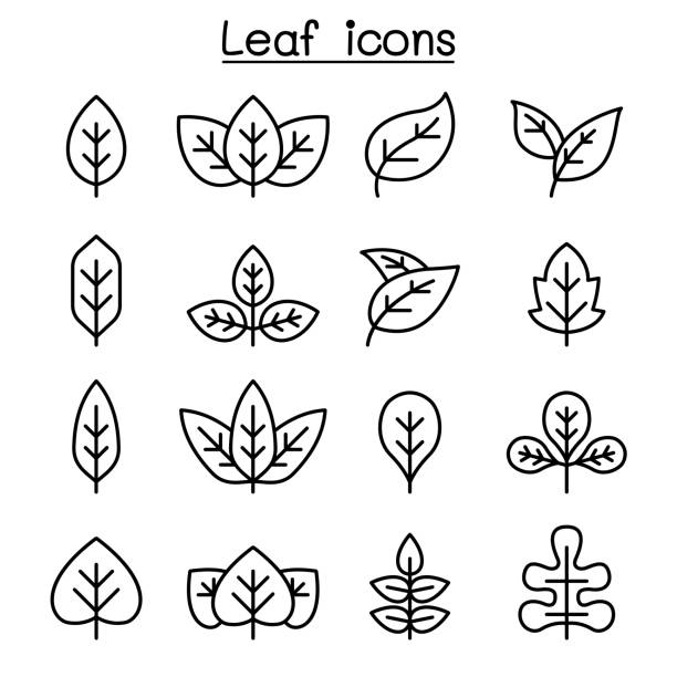 Leaf icon set in thin line style Leaf icon set in thin line style dried tea leaves stock illustrations