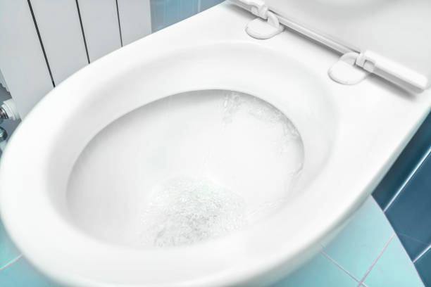 istock Water flushes the toilet. 961328876