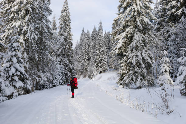 istock A hiker on his way in the winter Carpathian forest 961330058