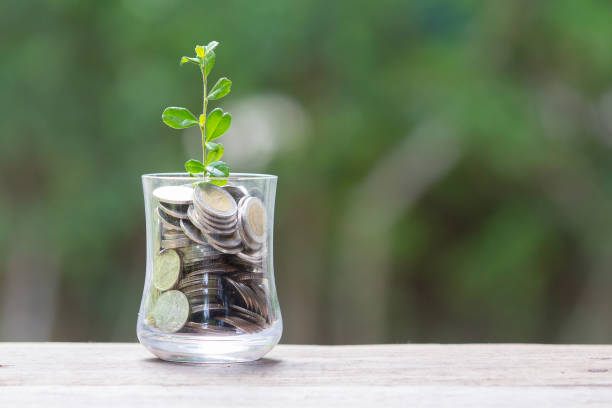 istock Plant Growing In Savings Coins 961336706