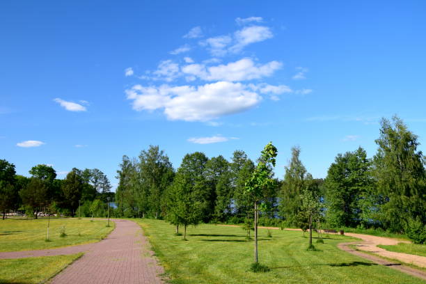 istock Public park near the lake 961344886