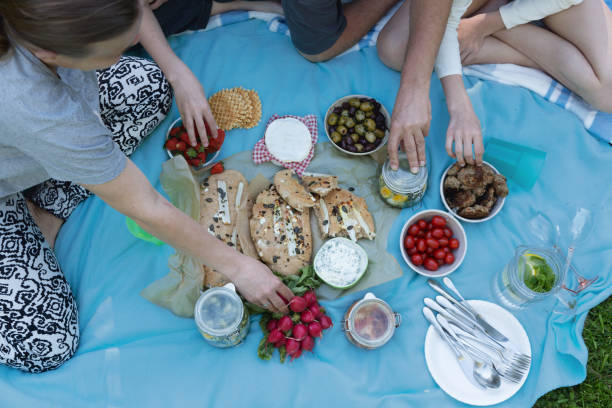 istock picnic on meadow hands reaching for food 961355210