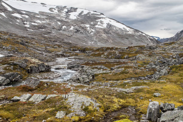 istock Videdalen Valley and the Strynefjellet Mountains 961356872