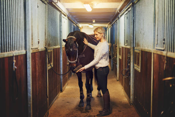 istock Smiling woman preparing her horse in stables before a ride 961361244