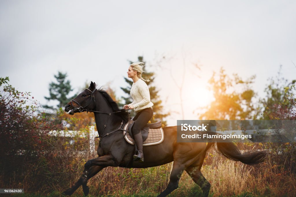 Mujer joven galopando su caballo a través de un campo de otoño - Foto de stock de Equitación libre de derechos