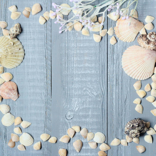 istock blue wooden background with beautiful seashells .copy space for text 961365146