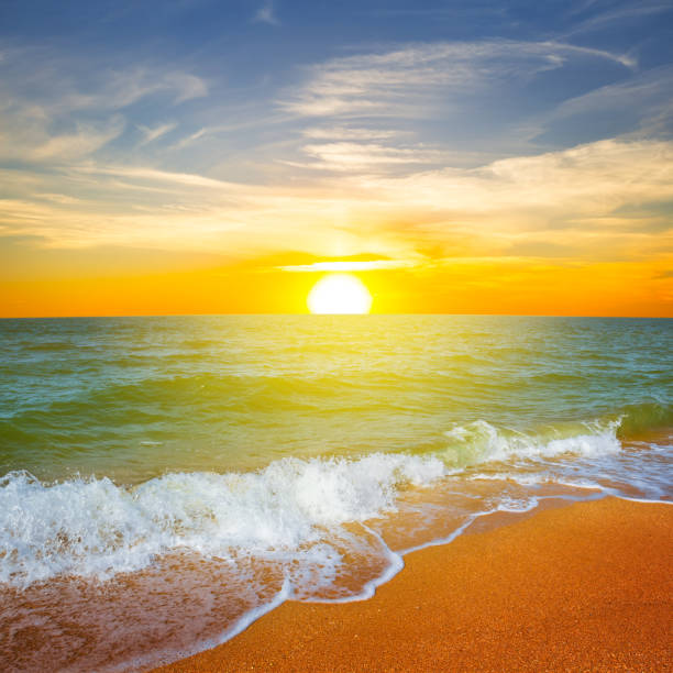 istock sandy sea beach at the dramatic sunset 961366786