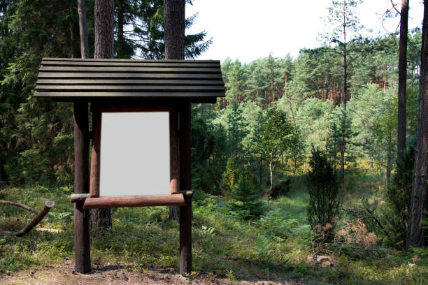 istock inormation board in the forest 961374956