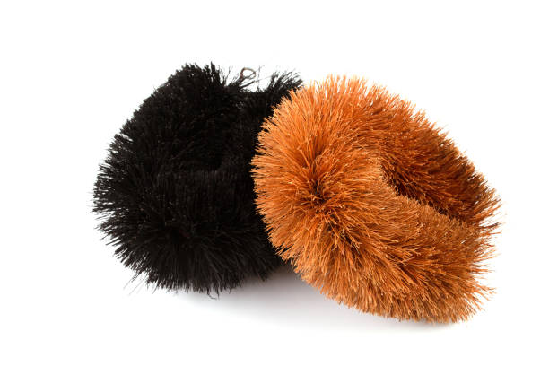 istock Natural Coconut Fiber Brush. 961379860