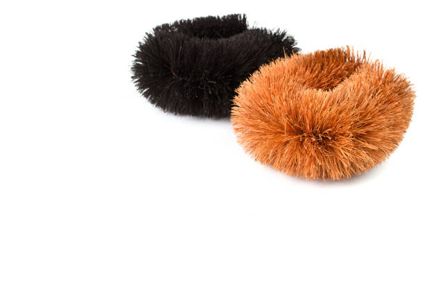 istock Natural Coconut Fiber Brush. 961379888
