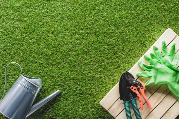 istock top view of watering can, shovels, secateurs and protective gloves on grass 961380416
