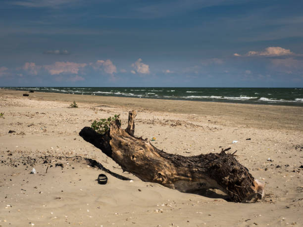 istock The romantic beach on the black sea. 961381224