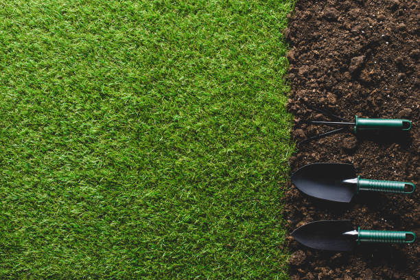 istock top view of grass and arranged gardening tools on soil 961384296