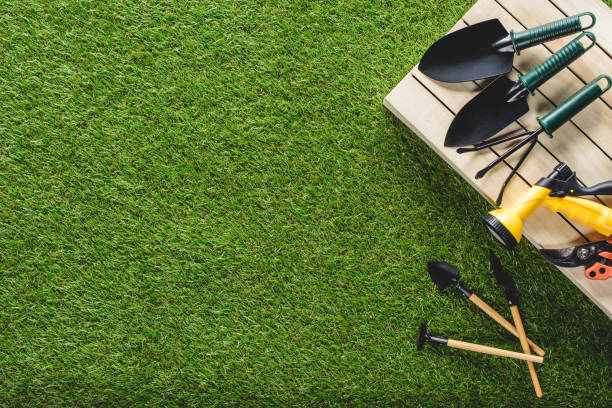istock top view of gardening tools and equipment on grass 961384348