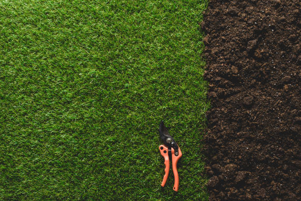 istock top view of green lawn and soil with secateurs 961388288