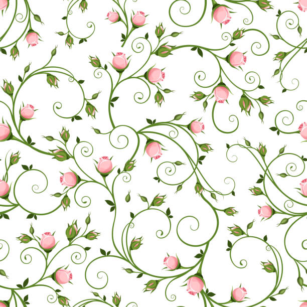 Seamless floral pattern with pink rosebuds. Vector illustration. Vector seamless floral pattern with pink rosebuds on a white background. swirly vines stock illustrations